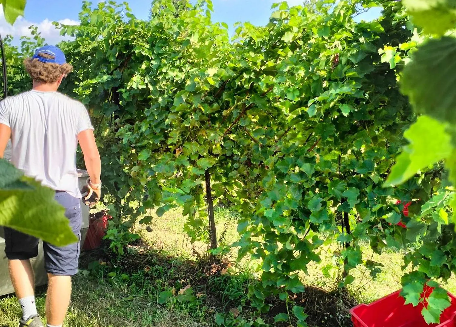 فندق مبيت وإفطار مبيت وإفطار تريفيزو Barone Rosso